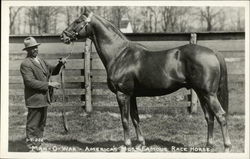 Man-O-War - America's Most Famous Race Horse Horses Postcard Postcard