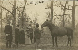 Showing Horse, King Stow Horses Postcard Postcard