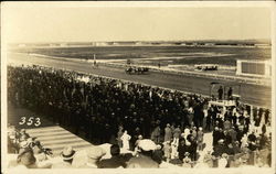 View of Horse Race Postcard