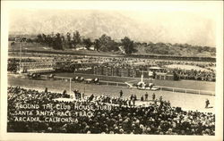 Around the Club House Turn, Santa Anita Race Track Postcard