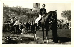 Walking Ring DelMar Turf Horse Racing Postcard Postcard