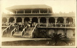 Portrait of People at Horse Race Track Horse Racing Postcard Postcard