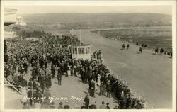 The Races Postcard