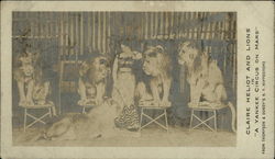 Claire Heliot and Lions in "A Yankee Circus on Mars" Postcard Postcard