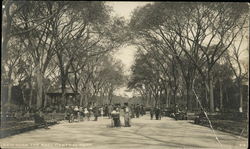 The Mall at Central Park New York, NY Postcard Postcard