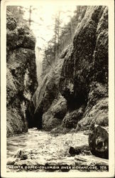 Oneonta Gorge-Columbia River Highway Postcard