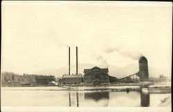 Weed Lumber Company's Mill Postcard