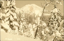 Mt. Shasta in Winter Postcard