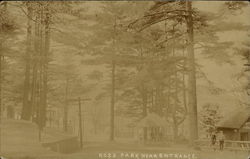 Ross Park, near Entrance Postcard