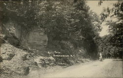 Ross Park Postcard