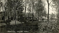 Beautiful Casino Park Endicott, NY Postcard Postcard