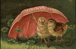 Two Yellow Chicks Beneath a Pink Umbrella Postcard