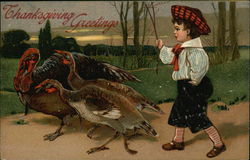 Thanksgiving Greetings Postcard