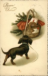 Dachshund Dog with Christmas Presents Postcard Postcard