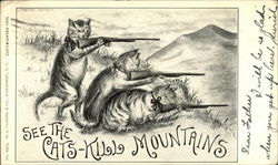 See the Cats-Kill Mountains Postcard