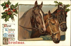 Best Wishes for a Merry Christmas Postcard Postcard