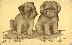 Two Puppies Eyeing Each Other Postcard