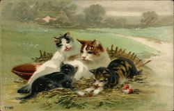 A Cat With Her Three Kittens In A Field Postcard