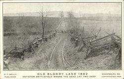 Old Bloody Lane 1862, Antietam Battlefield Where the Dead Lay Two Deep Military Postcard Postcard