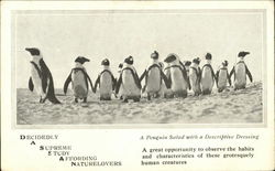 A Penguin With a Descriptive Dressing Birds Postcard Postcard