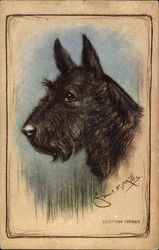 Pastel Drawing of Scottish Terrier Scottish Terriers Postcard Postcard