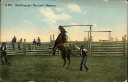 Saddling an "Out Law" Bronco Postcard