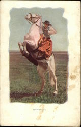 Cowgirl on rearing white horse Cowboy Western Postcard Postcard