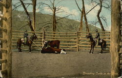 Branding Cattle in the West Postcard