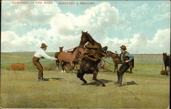 Ranching in the West - Saddling a Bronco Cowboy Western Postcard Postcard