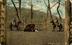 Branding cattle in the west Postcard