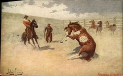 Roping Broncos Postcard