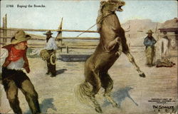 "Roping the Bronco" - Three Cowboys in Corral with Horse Postcard