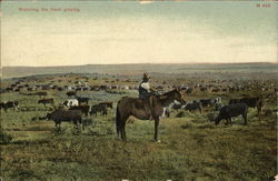 Watching the herd grazing Horses Postcard Postcard