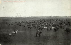 Cattle Ranching, Toppenish, Washington Cows & Cattle Postcard Postcard