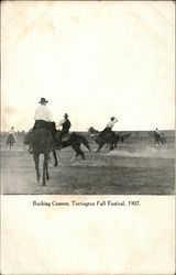 Bucking Contest, Torrington Fall Festival, 1907 Postcard