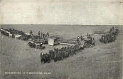 Harvesting at Harrington, Wash Farming Postcard Postcard