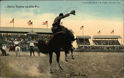 Harry Tipton on Gin Fiz Rodeos Postcard Postcard