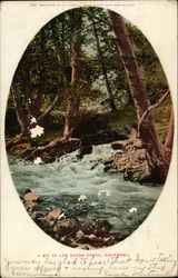 A Bit of Los Gatos Creek, California Postcard Postcard