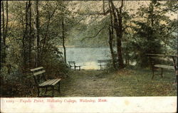 Wellesley College - Tupelo Point Massachusetts Postcard Postcard