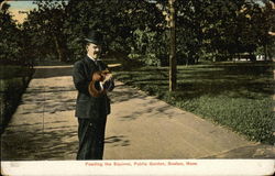 Feeding the Squirrel, Public Garden Boston, MA Postcard Postcard