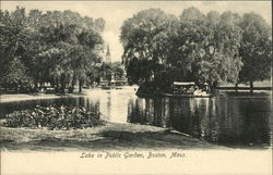 Lake in Public Garden Postcard