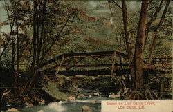 Los Gatos Creek Postcard