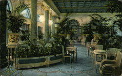 Copley Plaza Hotel - Tea Room Postcard