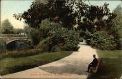 Fenway Park Postcard