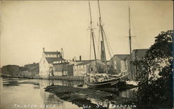 Sailboat on Taunton River Postcard