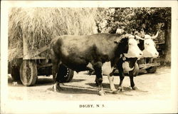 Digby, N.S Nova Scotia Canada Postcard Postcard