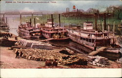 Scene on the Cumberland Nashville, TN Postcard Postcard