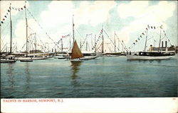 Yachts in Harbor Newport, RI Postcard Postcard