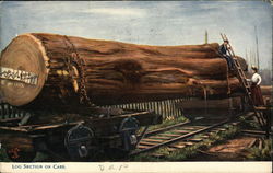 Log Section on Cars Postcard