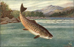 Trout - Hooked but not Landed Postcard